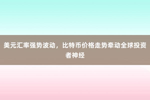 美元汇率强势波动，比特币价格走势牵动全球投资者神经