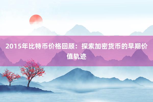 2015年比特币价格回顾：探索加密货币的早期价值轨迹