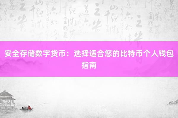 安全存储数字货币：选择适合您的比特币个人钱包指南