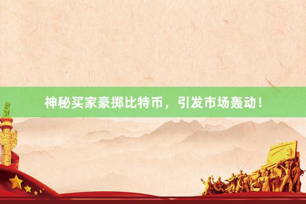 神秘买家豪掷比特币，引发市场轰动！