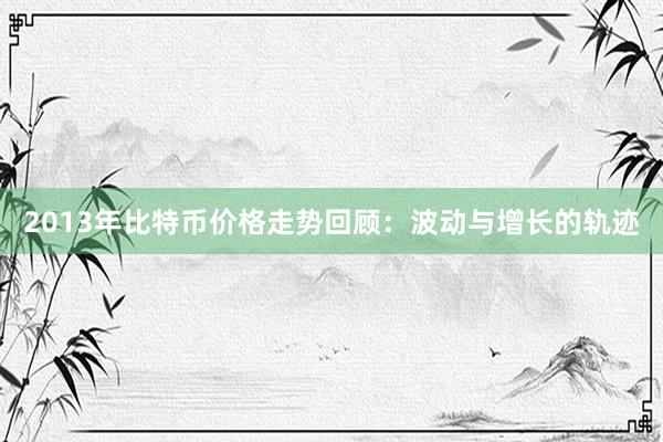 2013年比特币价格走势回顾：波动与增长的轨迹