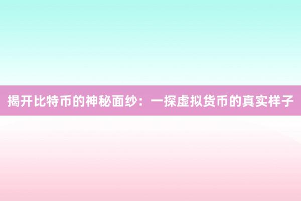 揭开比特币的神秘面纱：一探虚拟货币的真实样子
