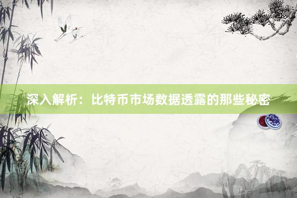 深入解析：比特币市场数据透露的那些秘密