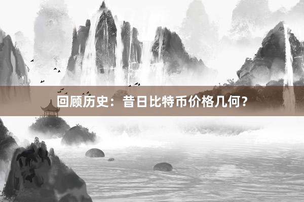 回顾历史：昔日比特币价格几何？