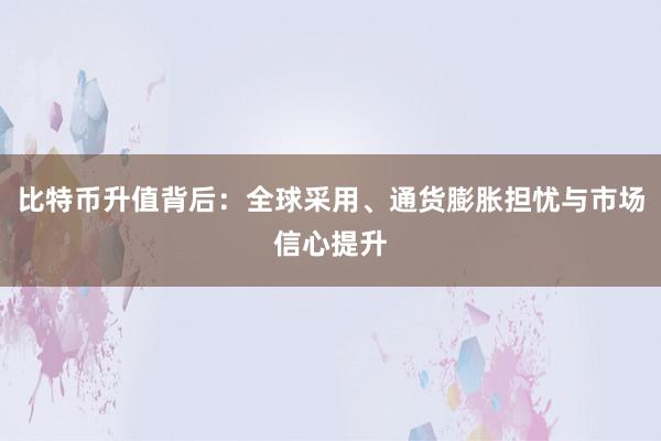 比特币升值背后：全球采用、通货膨胀担忧与市场信心提升