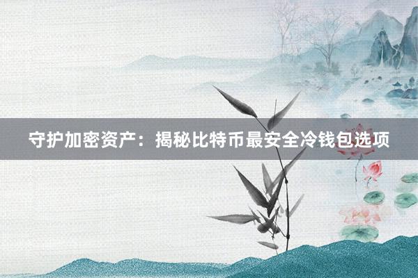 守护加密资产：揭秘比特币最安全冷钱包选项