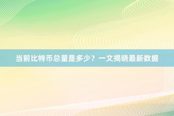 当前比特币总量是多少？一文揭晓最新数据