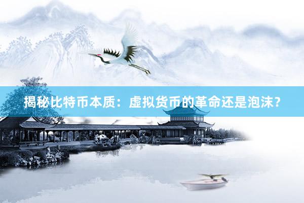 揭秘比特币本质：虚拟货币的革命还是泡沫？