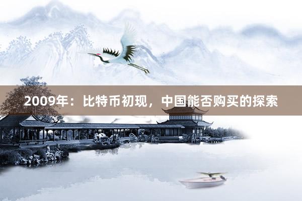 2009年：比特币初现，中国能否购买的探索