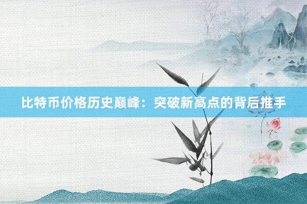 比特币价格历史巅峰：突破新高点的背后推手