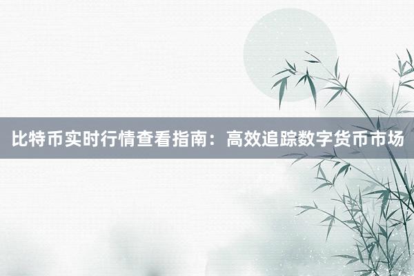比特币实时行情查看指南：高效追踪数字货币市场
