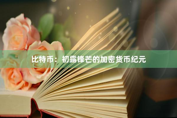 比特币：初露锋芒的加密货币纪元