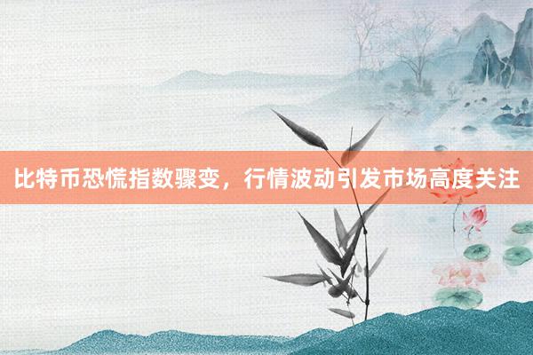 比特币恐慌指数骤变，行情波动引发市场高度关注