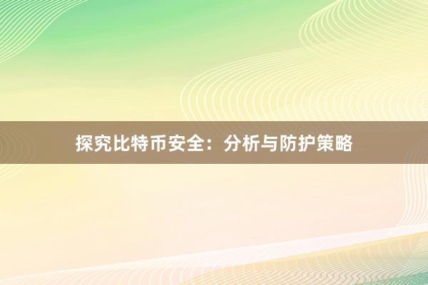 探究比特币安全：分析与防护策略