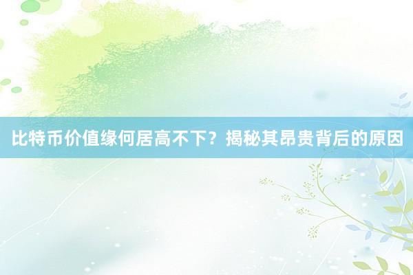 比特币价值缘何居高不下？揭秘其昂贵背后的原因